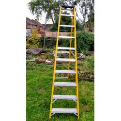 Fibreglass Step Ladder