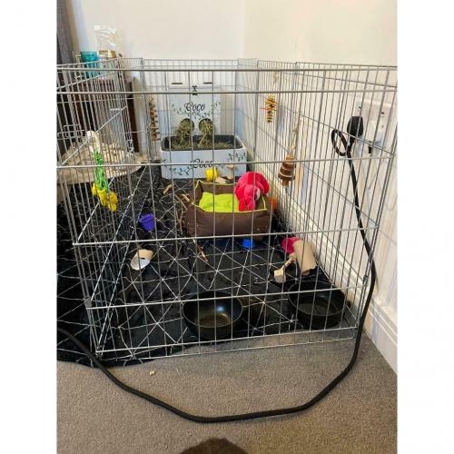 Pet Playpen