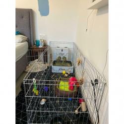 Pet Playpen
