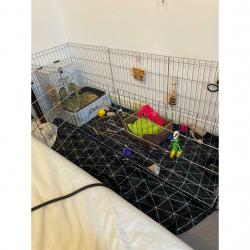 Pet Playpen