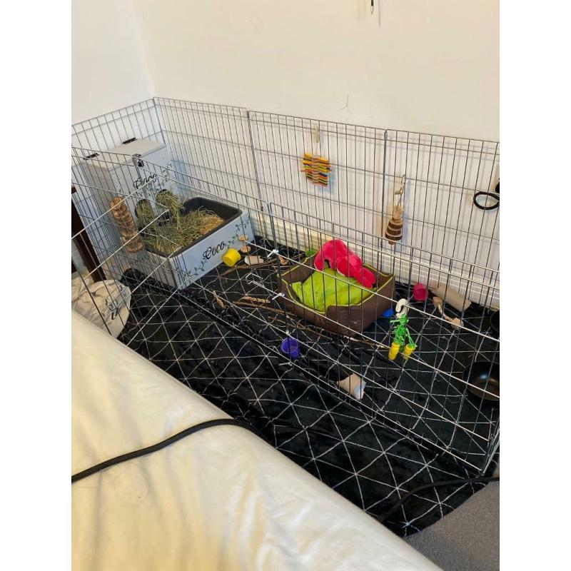 Pet Playpen