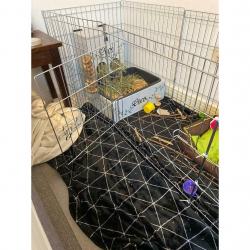 Pet Playpen