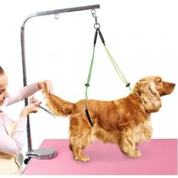 Pet grooming table and adjustable rope