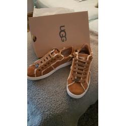 Brand new Uggs