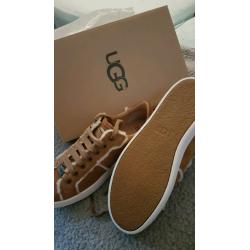 Brand new Uggs